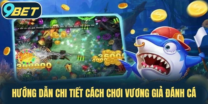 Hướng Dẫn Chi Tiết Cách Chơi Vương Giả Đánh Cá